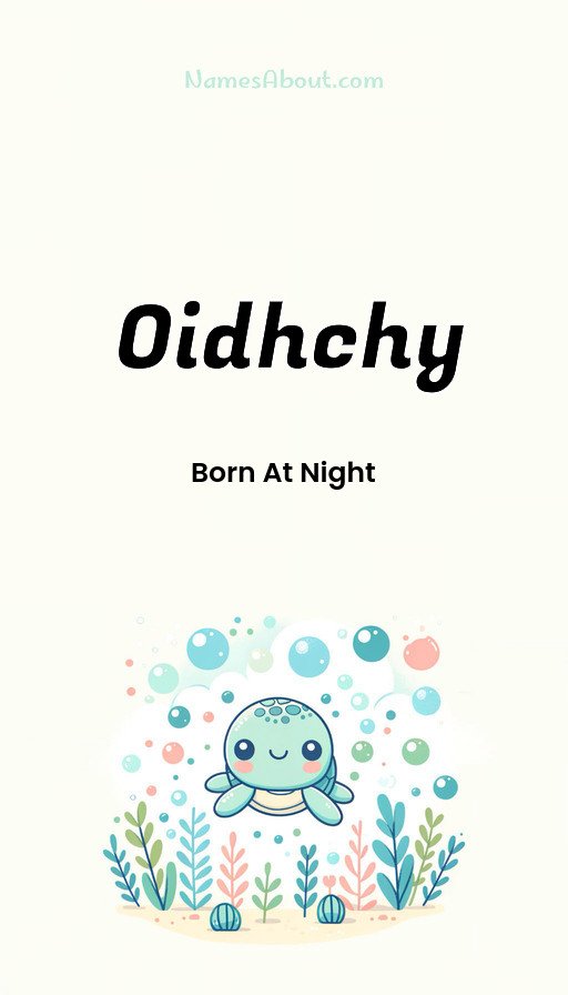 Meaning of Oidhchy