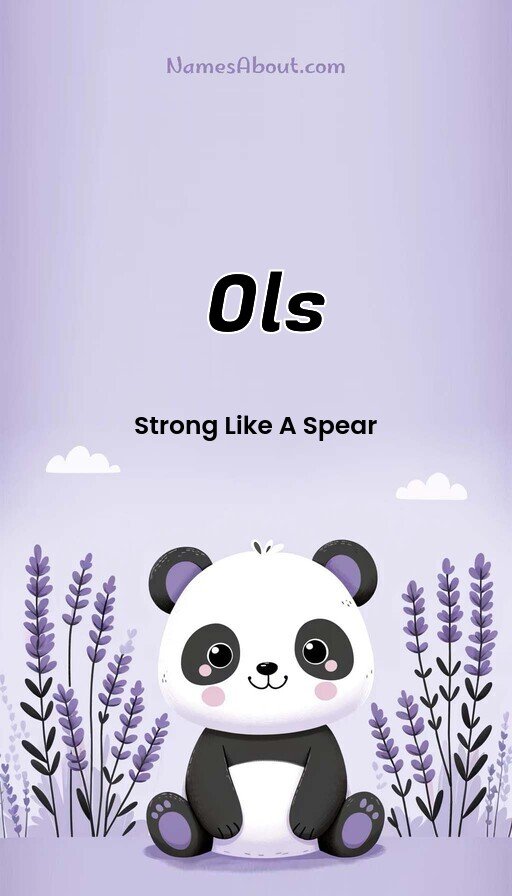 Meaning of Ols