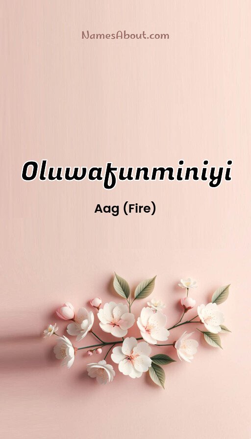 Meaning of Oluwafunminiyi