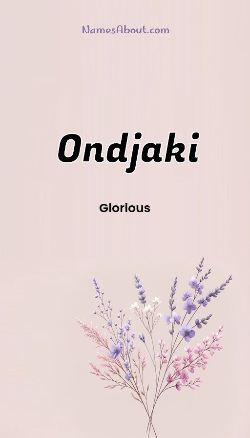Meaning of Ondjaki