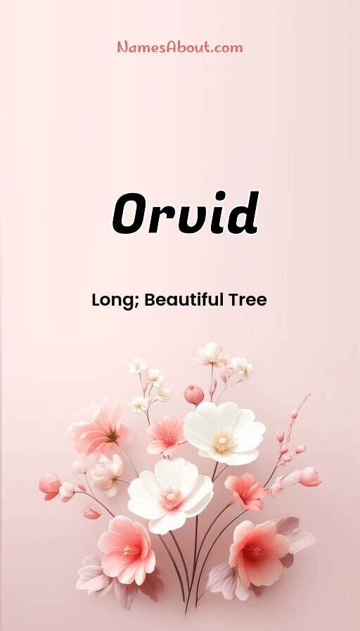 Meaning of Orvid