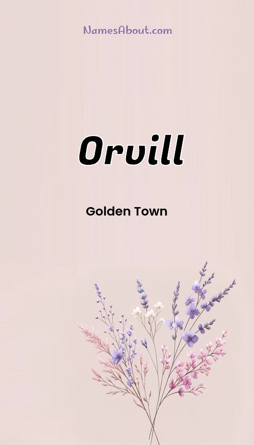 Meaning of Orvill