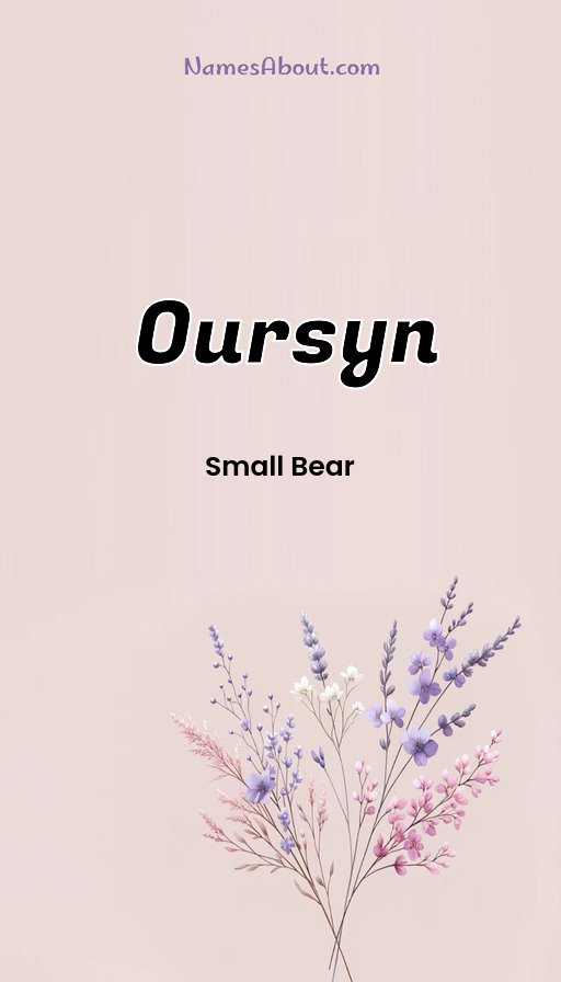 Meaning of Oursyn