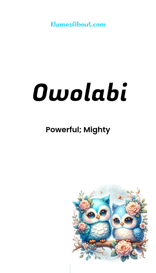 Meaning of Owolabi