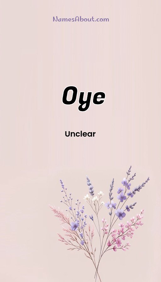 Meaning of Oye