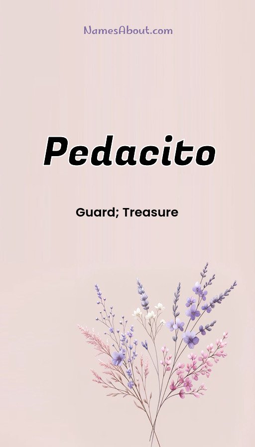 Meaning of Pedacito