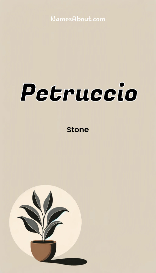 Meaning of Petruccio