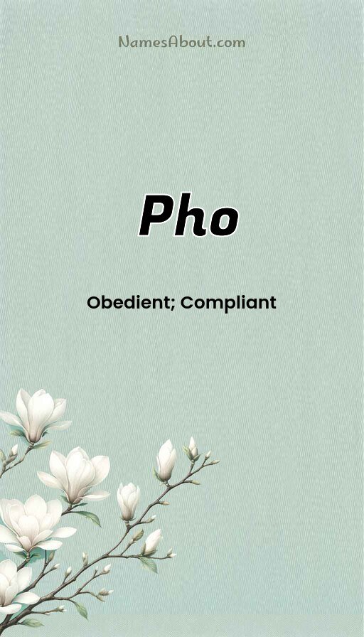 Meaning of Pho