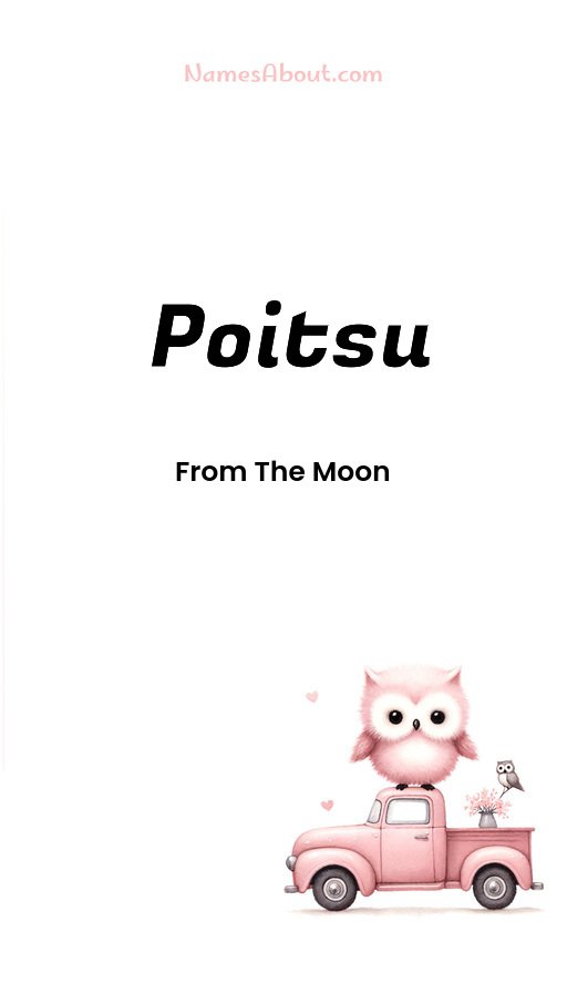 Meaning of Poitsu