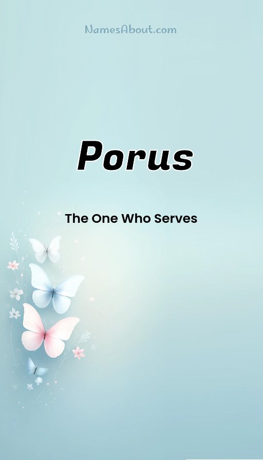 Meaning of Porus