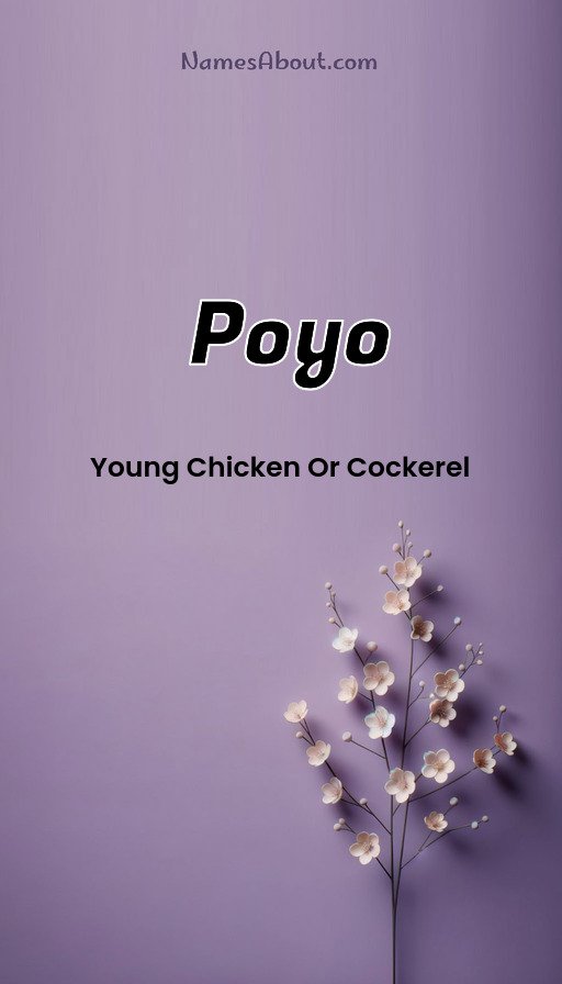 Meaning of Poyo