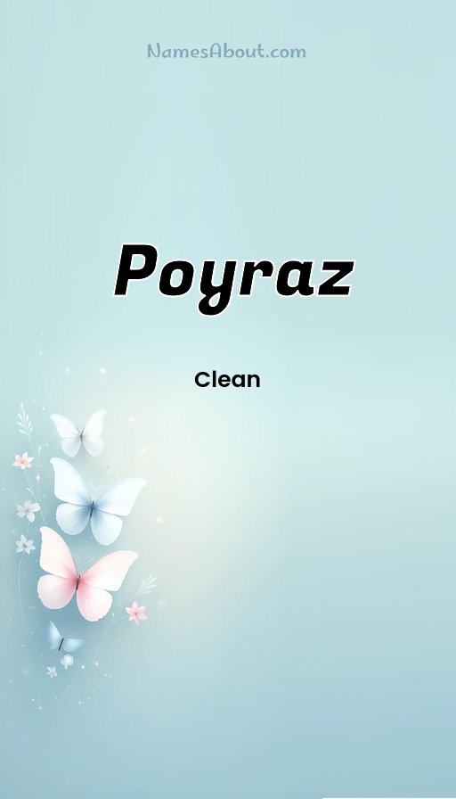 Meaning of Poyraz