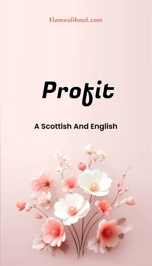 Meaning of Profit