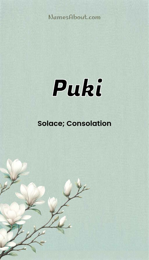 Meaning of Puki