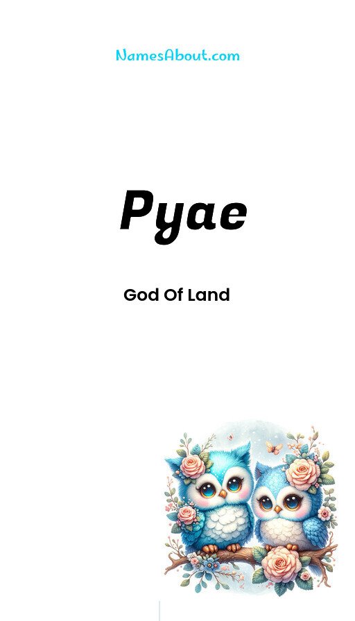 Meaning of Pyae
