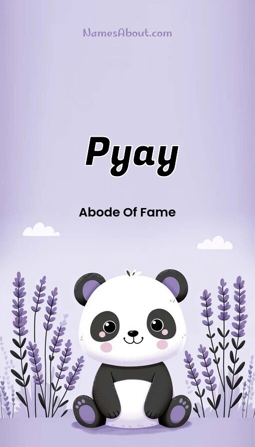 Meaning of Pyay
