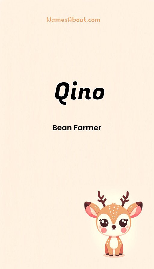 Meaning of Qino