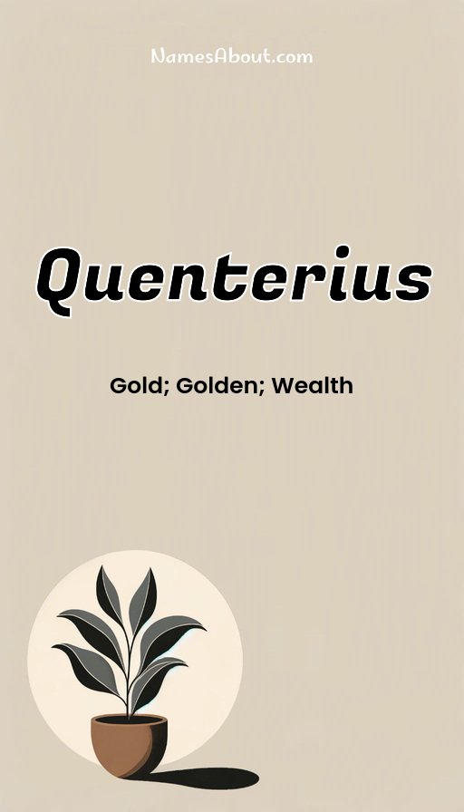 Meaning of Quenterius