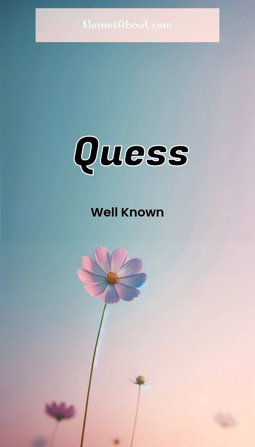 Meaning of Quess