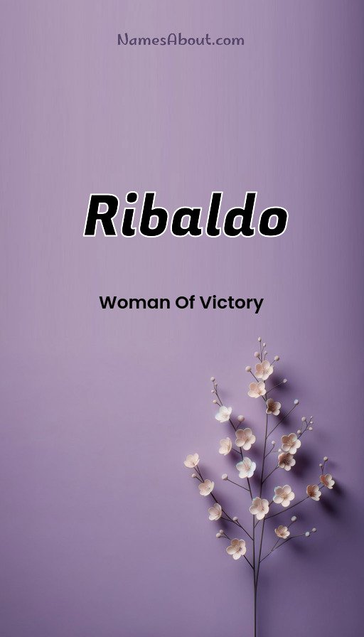 Meaning of Ribaldo