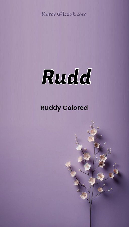 Meaning of Rudd