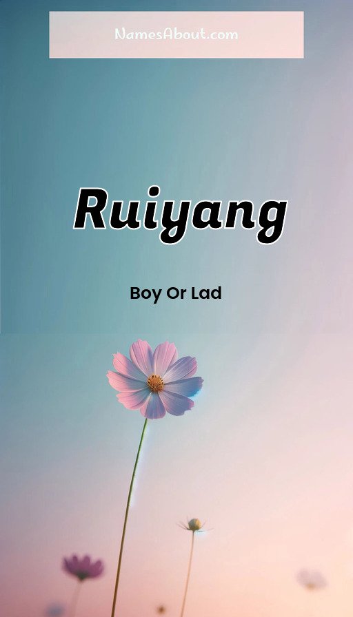 Meaning of Ruiyang