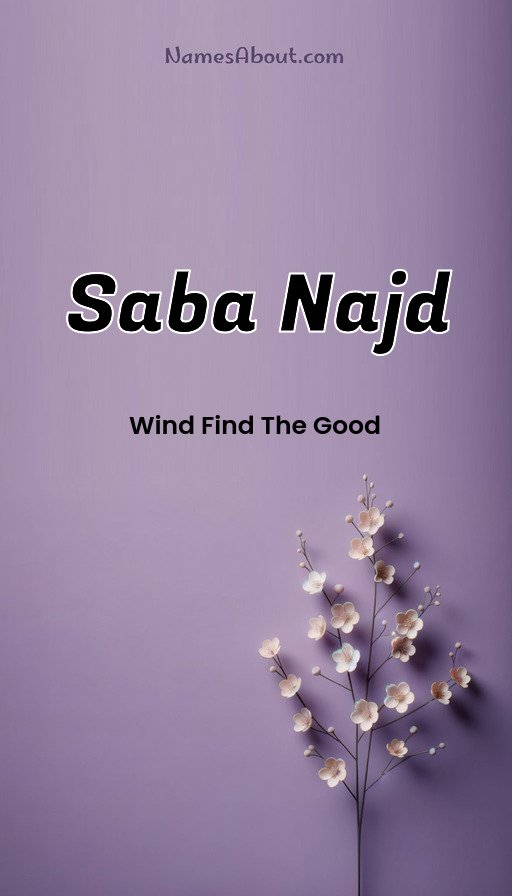 Meaning of Saba najd
