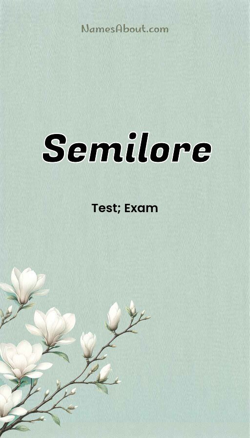 Meaning of Semilore