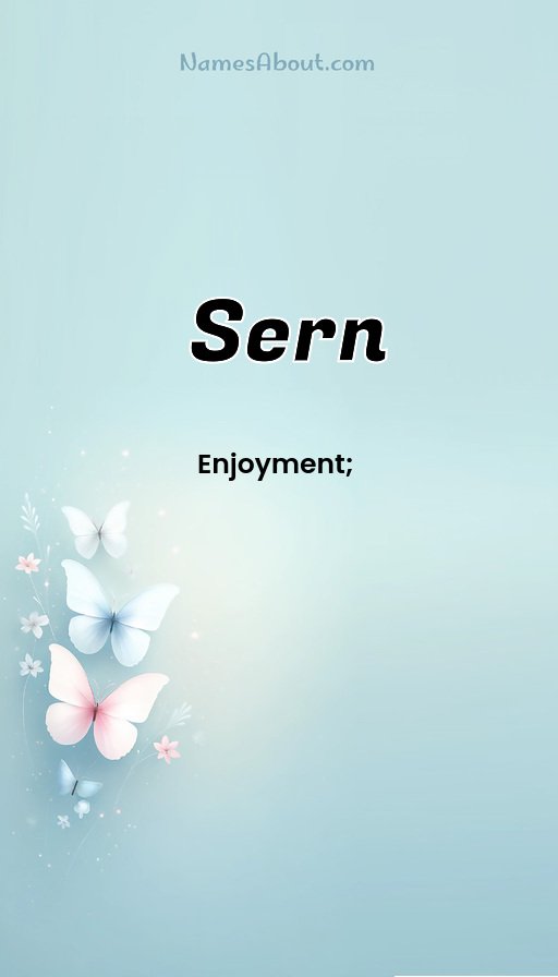 Meaning of Sern