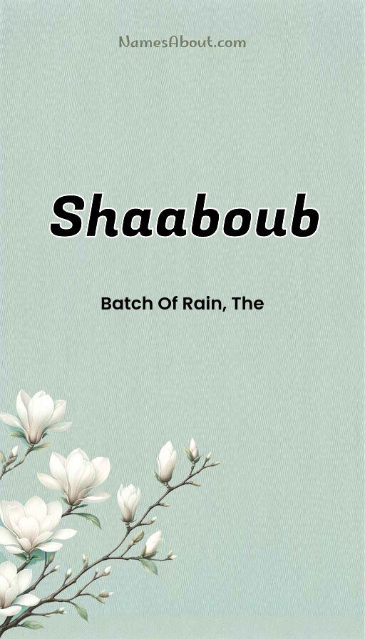 Meaning of Shaaboub