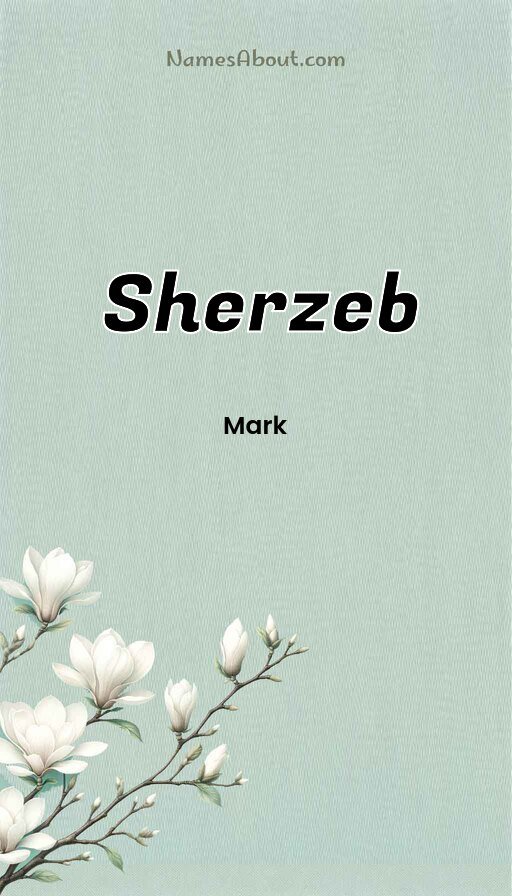 Meaning of Sherzeb