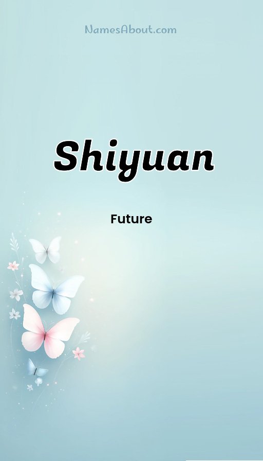 Meaning of Shiyuan