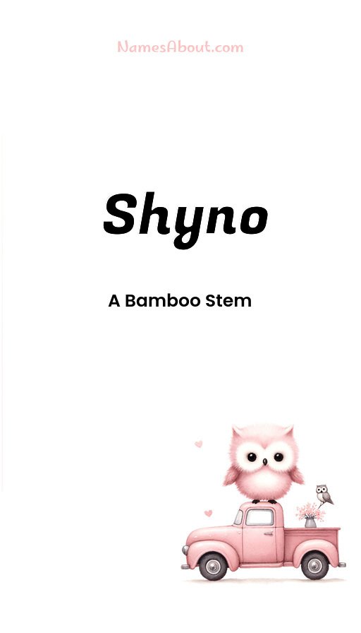 Meaning of Shyno