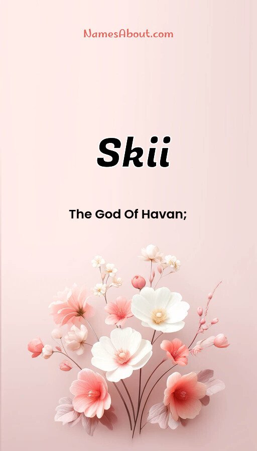 Meaning of Skii