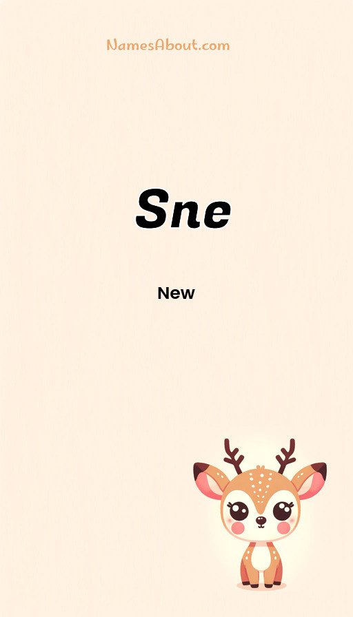 Meaning of Sne