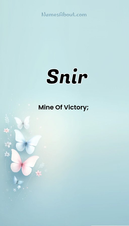 Meaning of Snir