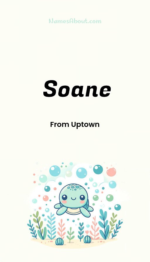 Meaning of Soane