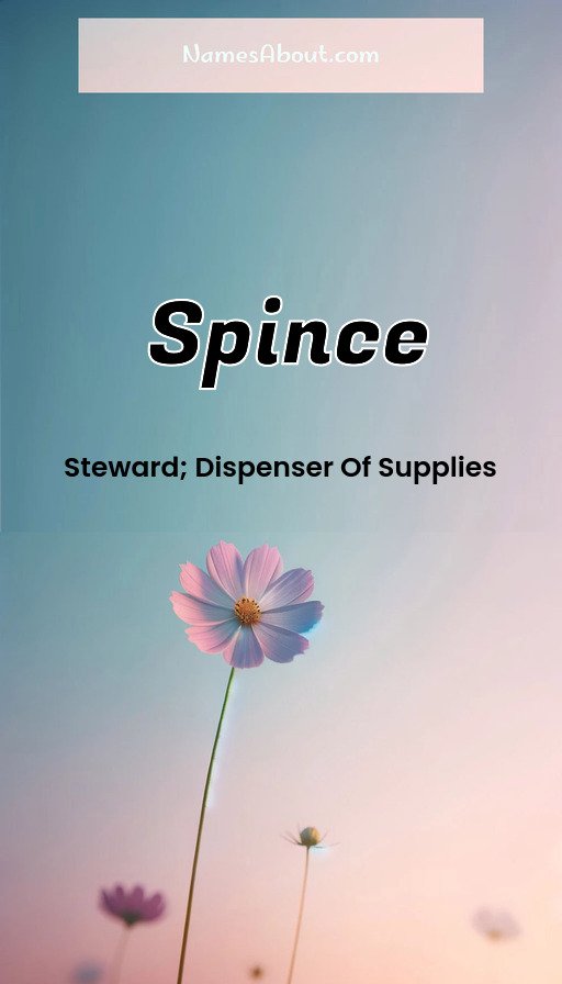 Meaning of Spince