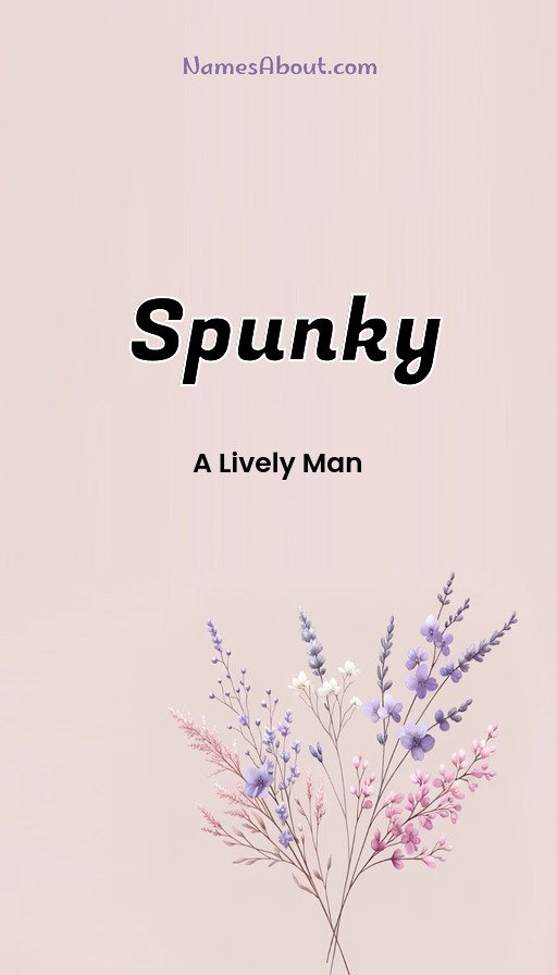 Meaning of Spunky