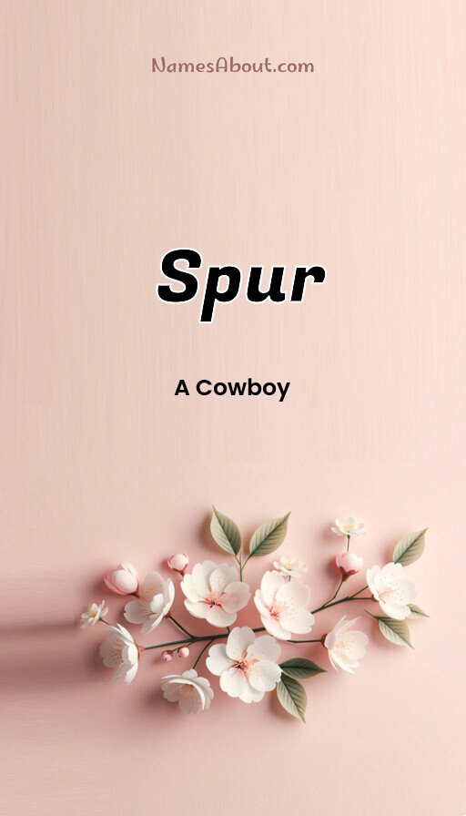 Meaning of Spur