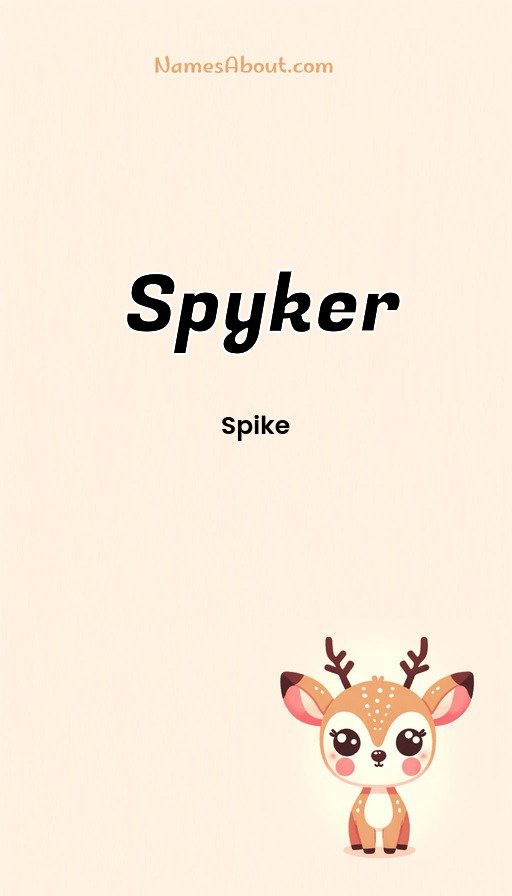 Meaning of Spyker