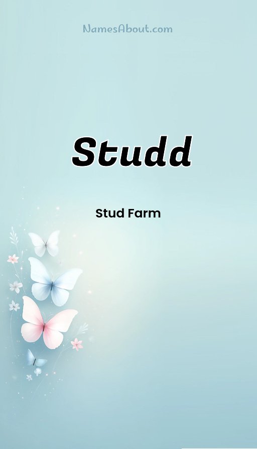 Meaning of Studd