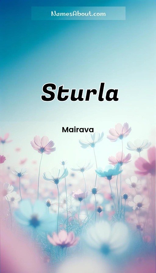 Meaning of Sturla