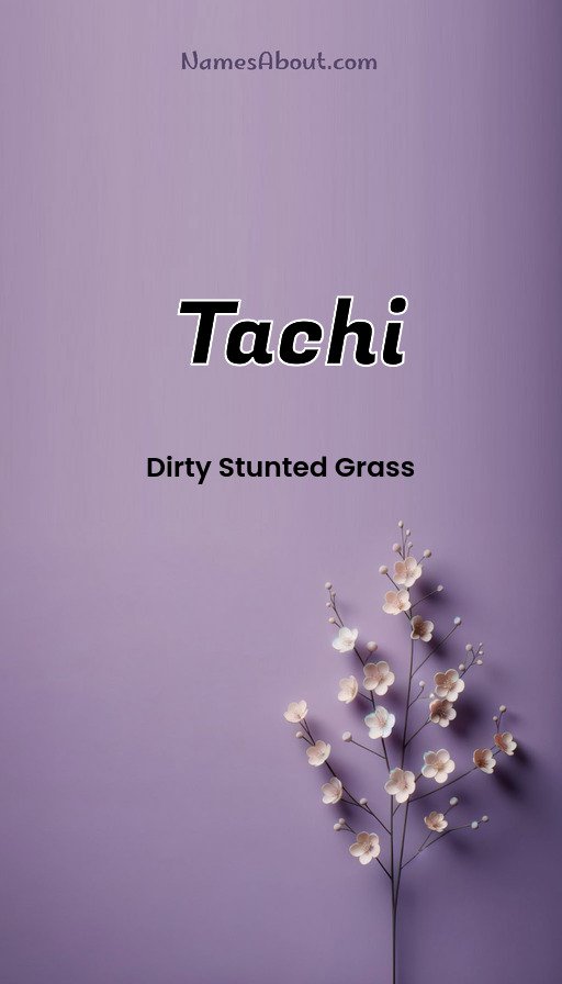 Meaning of Tachi