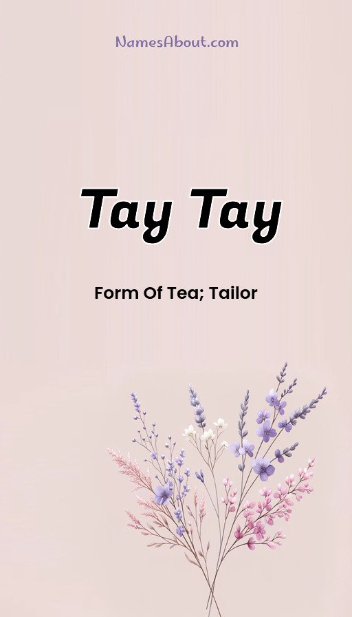 Meaning of Tay tay