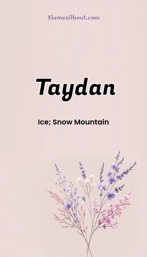 Meaning of Taydan