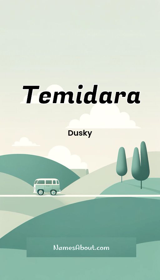 Meaning of Temidara