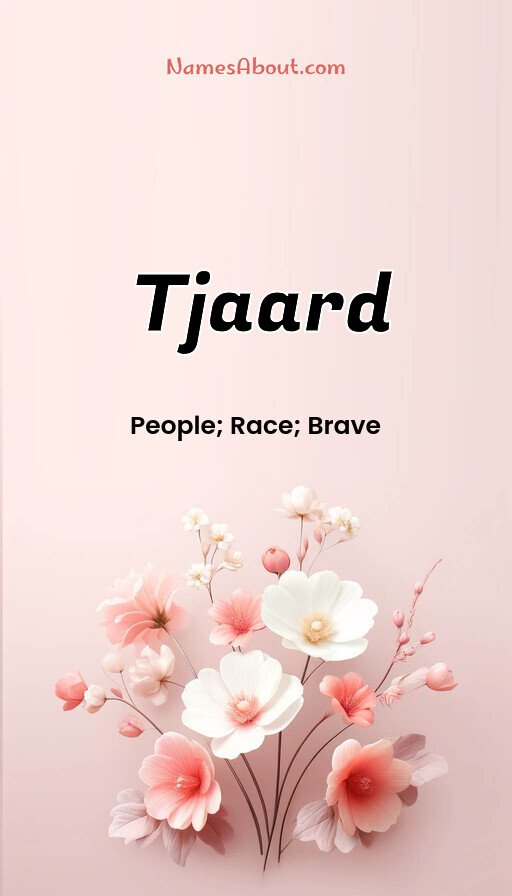 Meaning of Tjaard