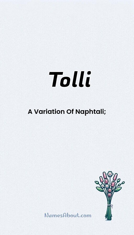 Meaning of Tolli