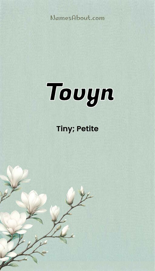 Meaning of Tovyn